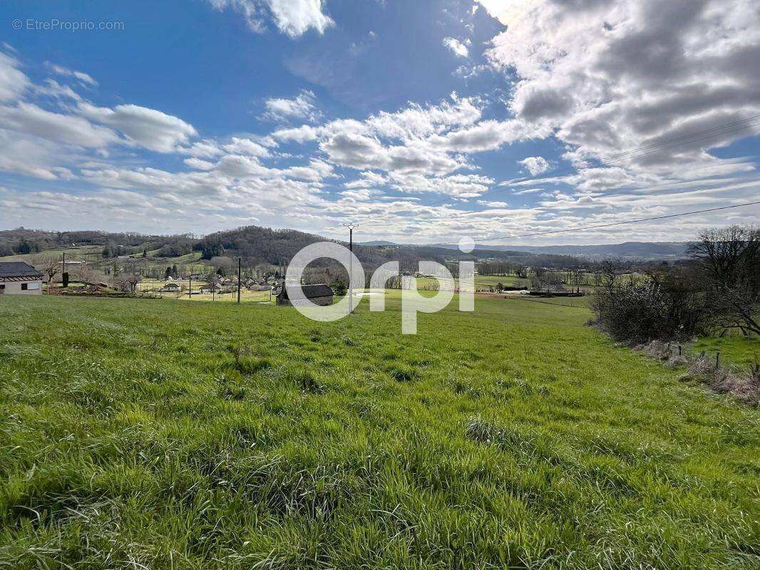 Terrain à BRIGNAC-LA-PLAINE