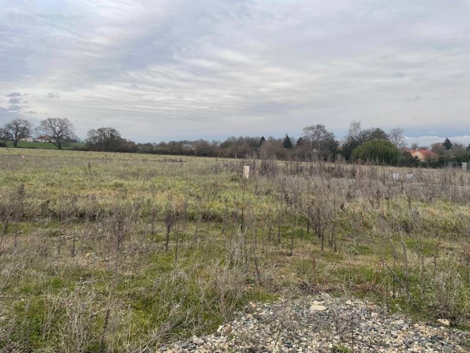 Terrain à VILLAINES-SOUS-MALICORNE