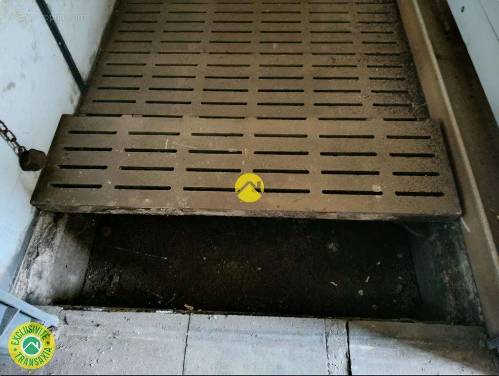 Commerce à LURCY-LEVIS