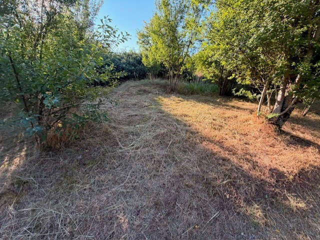 5 848 m2 constructibles-une grande maison- PLATEAU DU LARZAC : 1h de Montpellier - photo 27