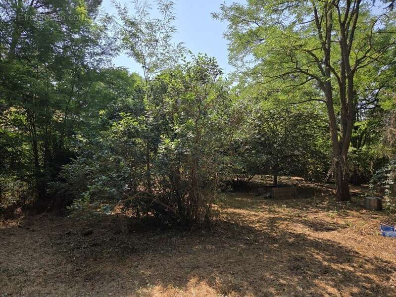 AIX Sud - Cabriès - Vente Grande Villa T4 de 200 M2 plein sud, à rénover, sur 1900M2 de terrain, emplacement de premier choix au - photo 10