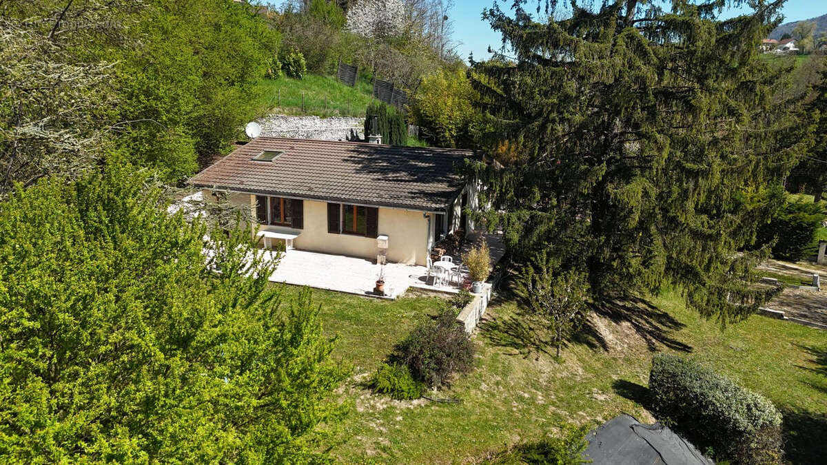 Maison à SAINT-CERGUES