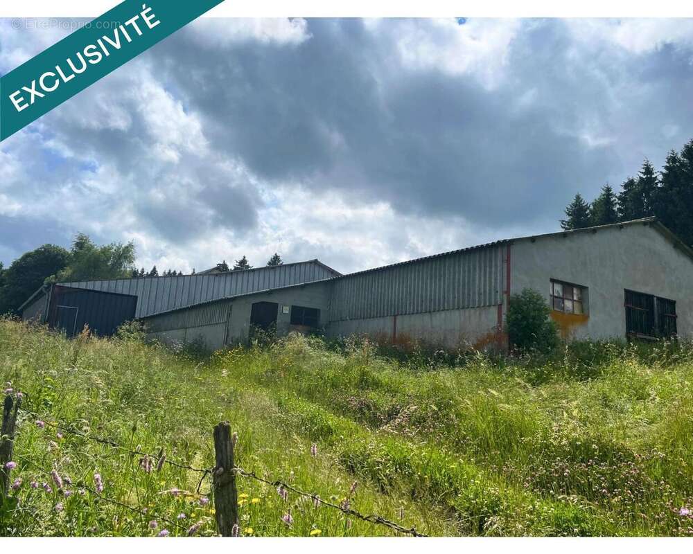 Photo 6 - Commerce à SAULZET-LE-FROID