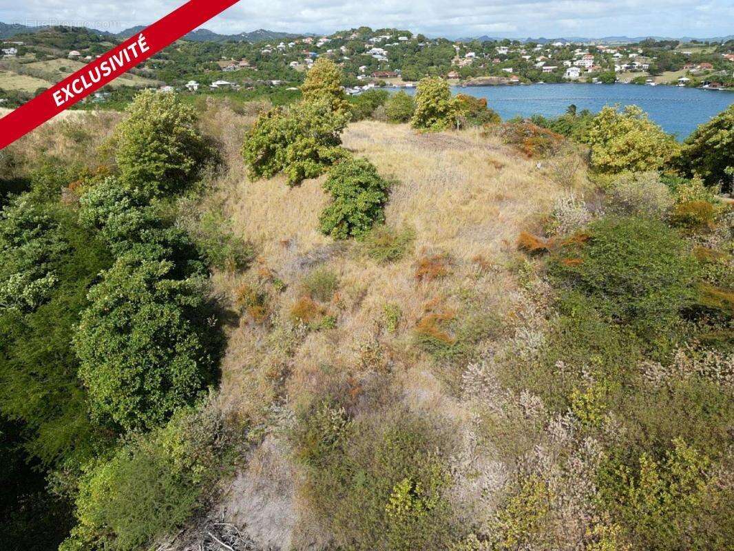 Terrain à LE VAUCLIN