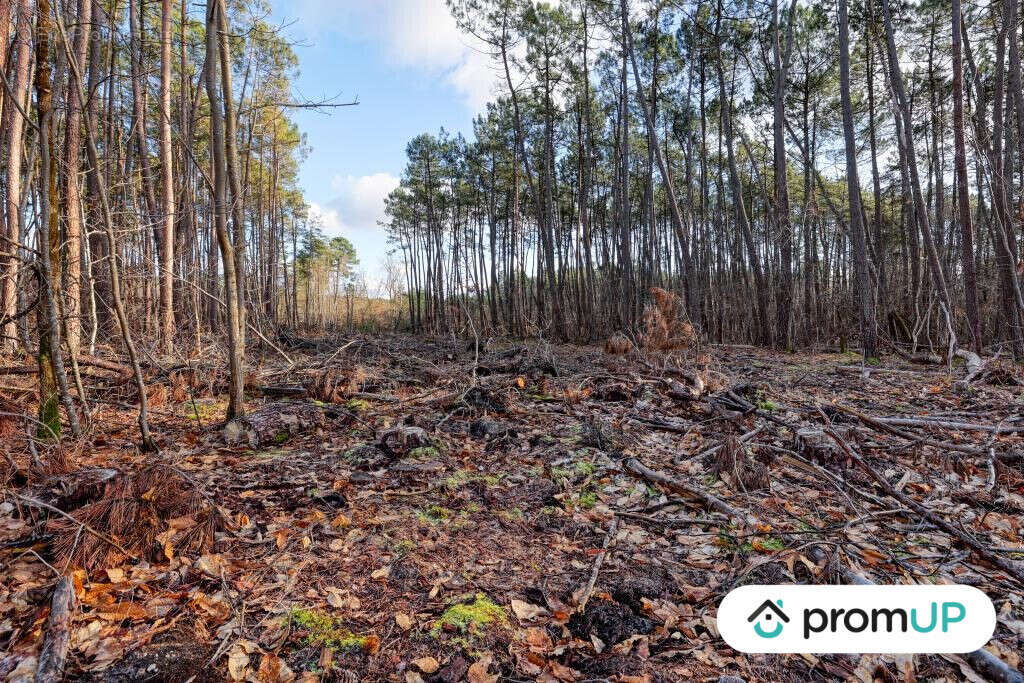 Terrain à VILLEFRANCHE-SUR-CHER