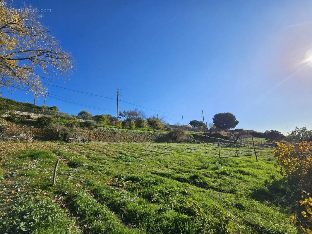 Terrain à SAINT-LAURENT-DU-VAR