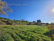 Terrain à SAINT-LAURENT-DU-VAR