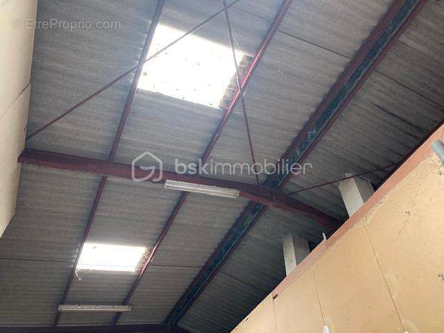 Commerce à PLAISANCE-DU-TOUCH