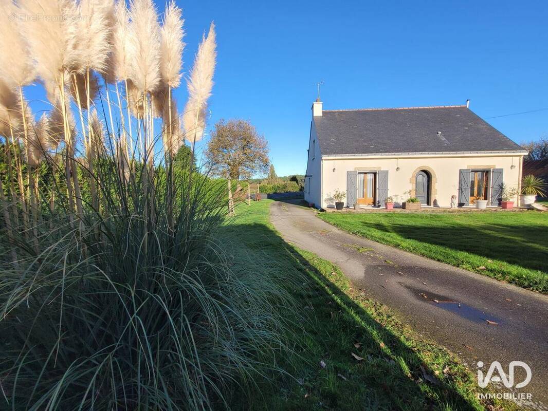 Photo 1 - Maison à GUEMENE-PENFAO