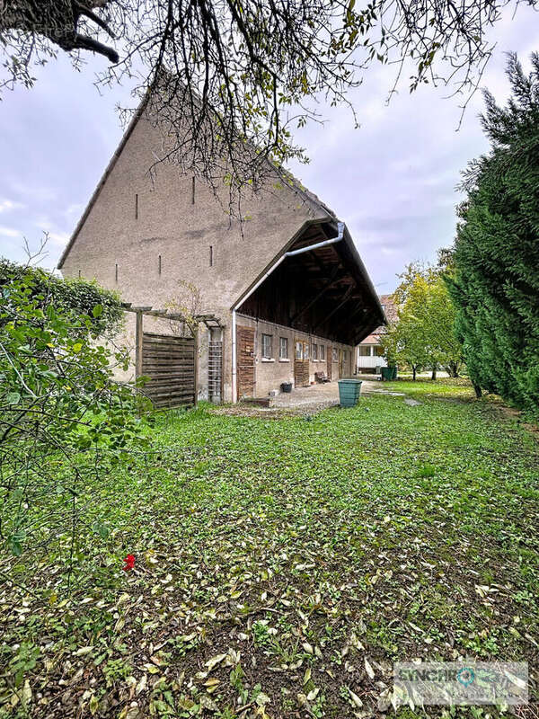 Maison à HETTENSCHLAG