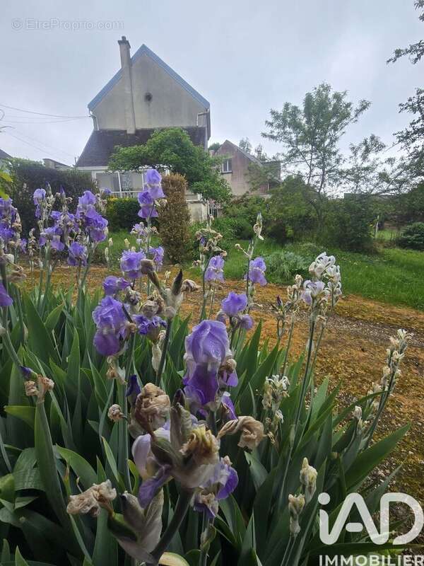 Photo 2 - Maison à MONTMIRAIL