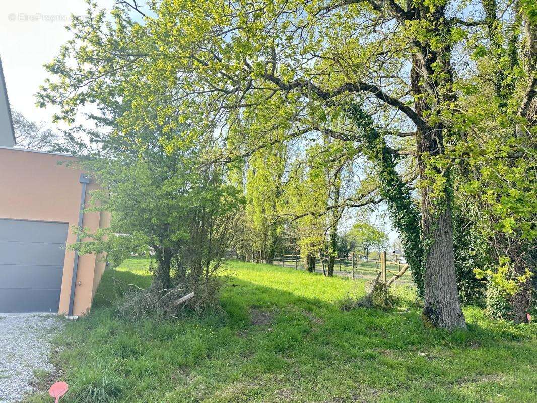 Terrain à LE CELLIER