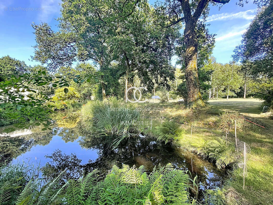 Maison d'Architecte à Pluneret : Un Paradis Vert avec Piscine et Plan d'Eau - photo 3
