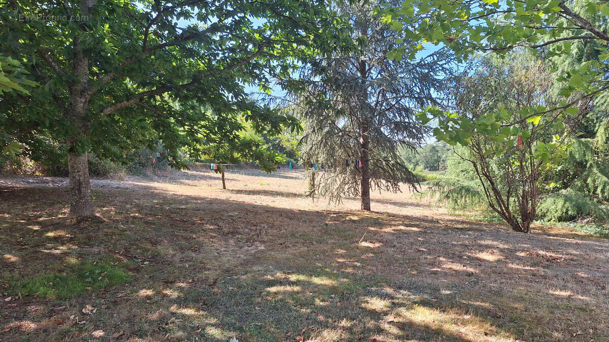 Plain-pied de 2011 - photo 12