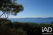 Photo 1 - Appartement à LE LAVANDOU