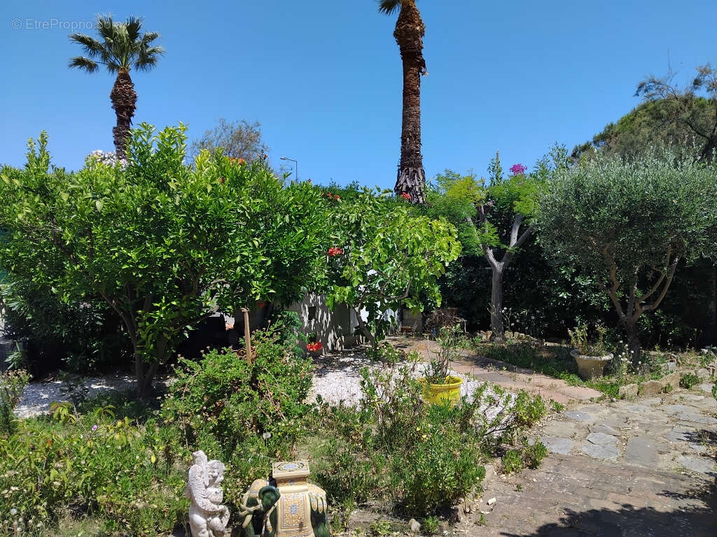 Villa quatre chambres l'ayguade plage a pied - photo 13