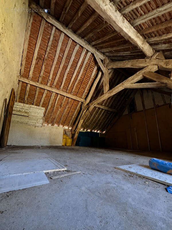 Longère, lorris, 5/6 chambres, grange, 162 de dépendance, calme, puits, 168m2 habitable - photo 26