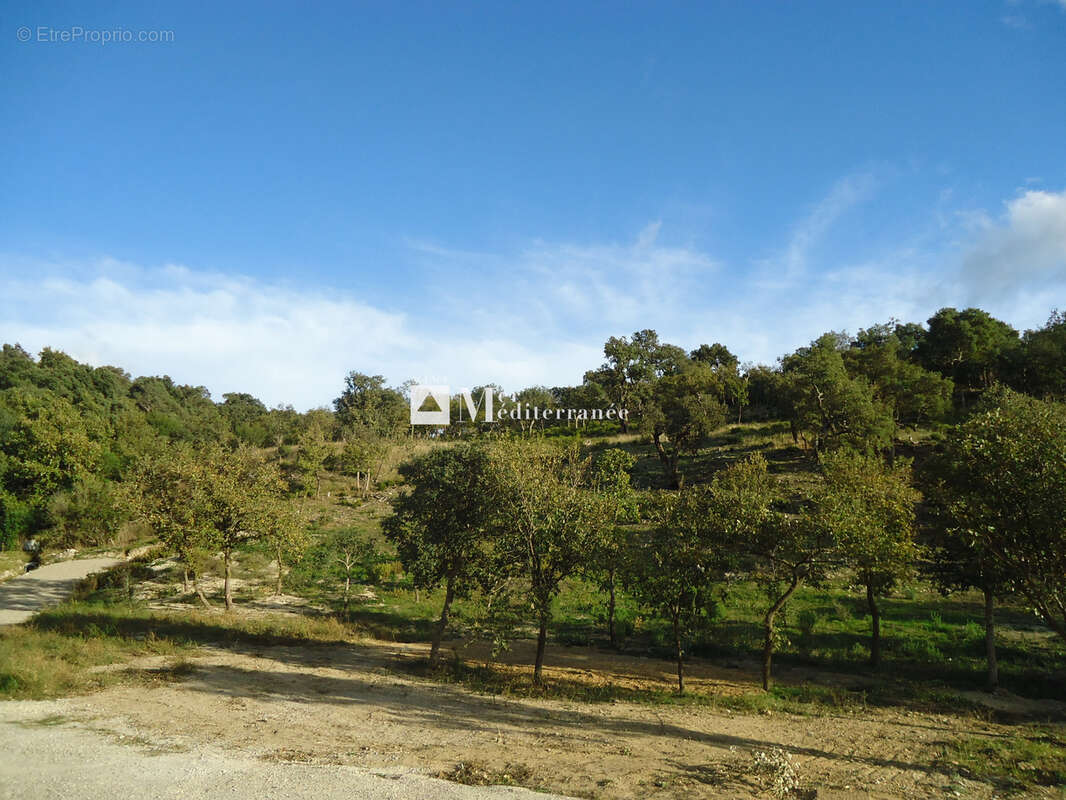 Terrain à GRIMAUD