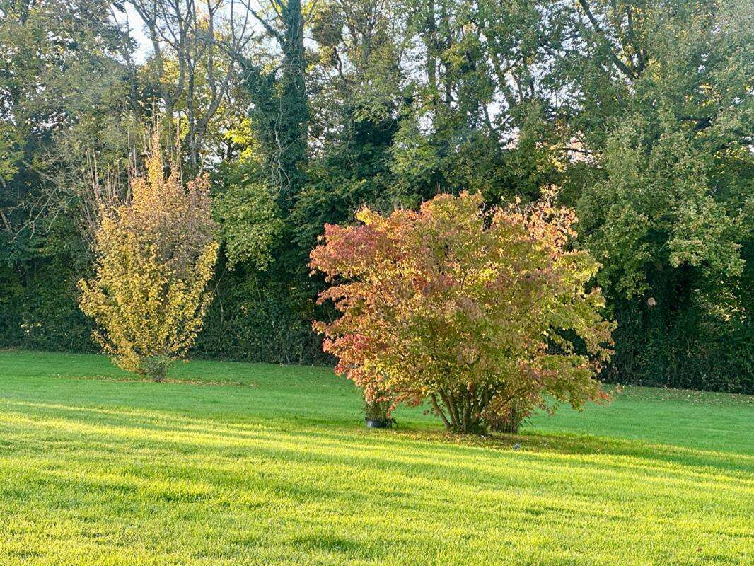 Maison à PONT-L&#039;EVEQUE