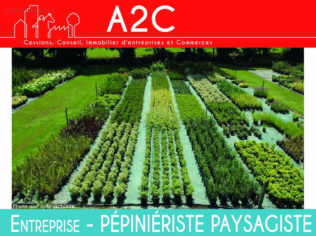 Commerce à LA ROCHE-SUR-YON