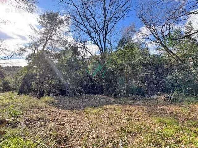 Terrain à ROQUEFORT-LES-PINS