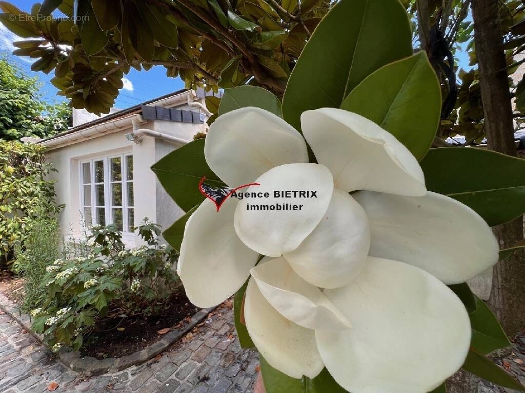 Maison à L'ISLE-ADAM