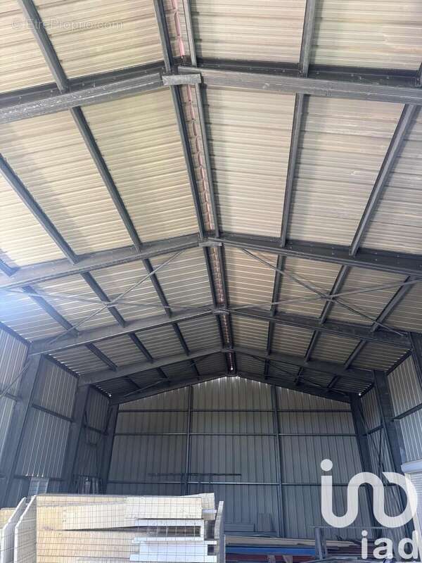 Photo 2 - Appartement à ANSE-BERTRAND