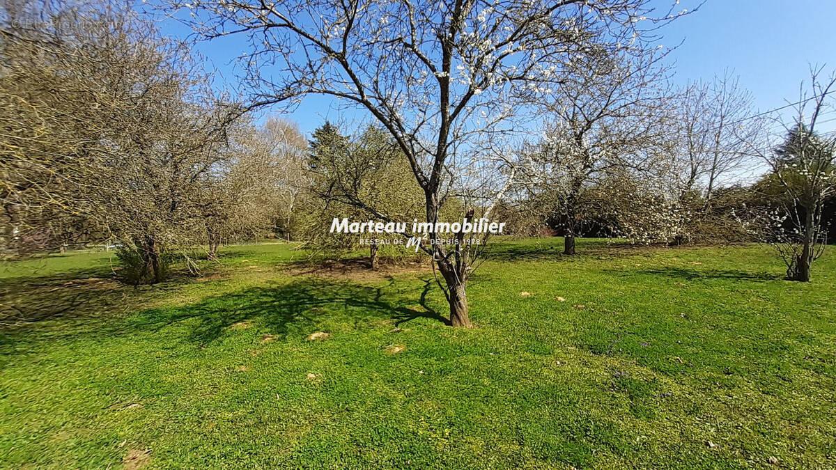 Terrain à SAVIGNE-L&#039;EVEQUE