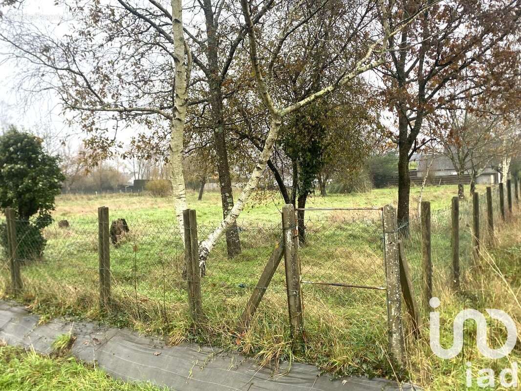 Photo 5 - Terrain à SAINTE-ANNE-SUR-BRIVET