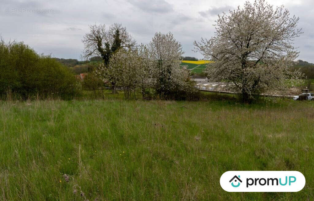 Terrain à MONTMIRAIL