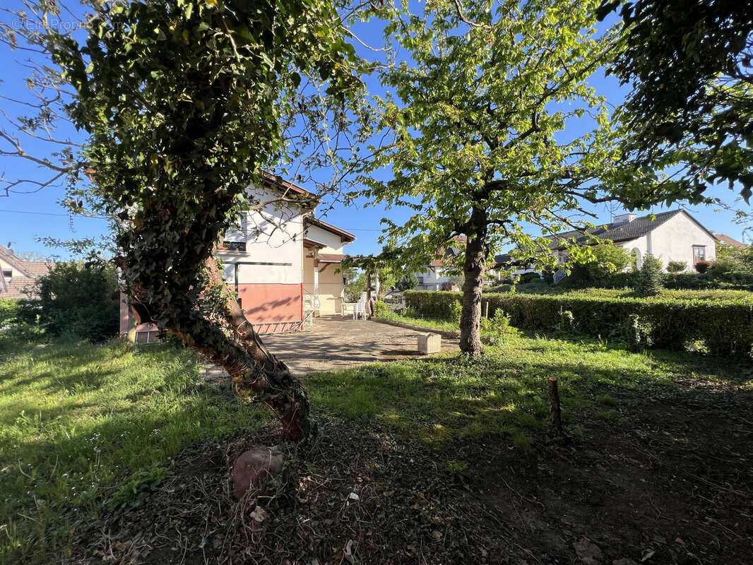 Maison à TRUCHTERSHEIM