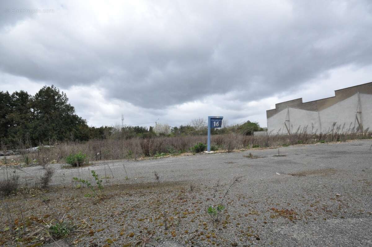 Dpt Vienne (86), à vendre CHATELLERAULT terrain Zone d'Activité Le Sanital - photo 6
