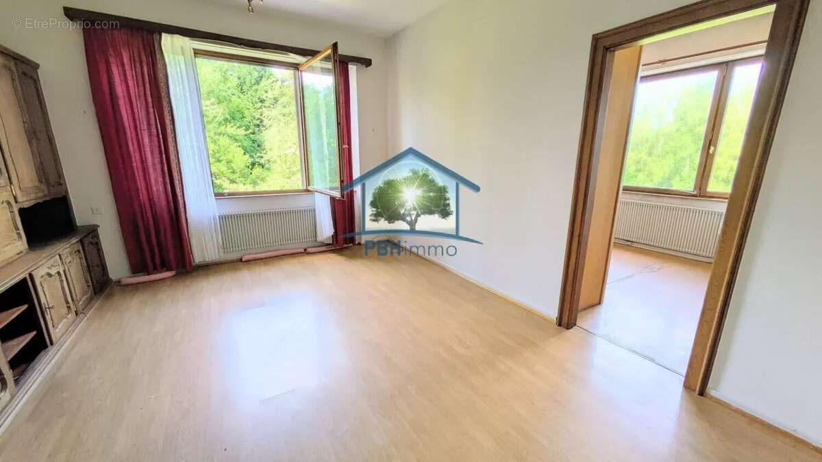INGWILLER (67) - Maison 334m² avec Cave, Cour et Jardin sur 95 ares - photo 9