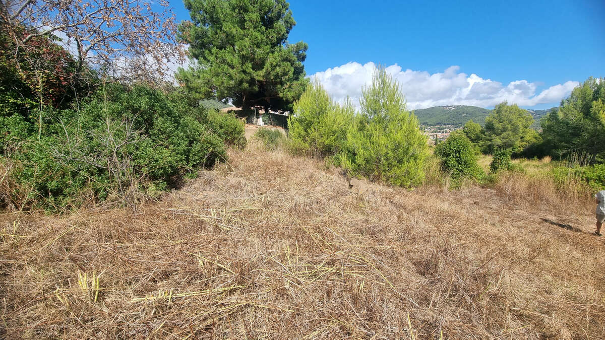 Terrain à CARQUEIRANNE