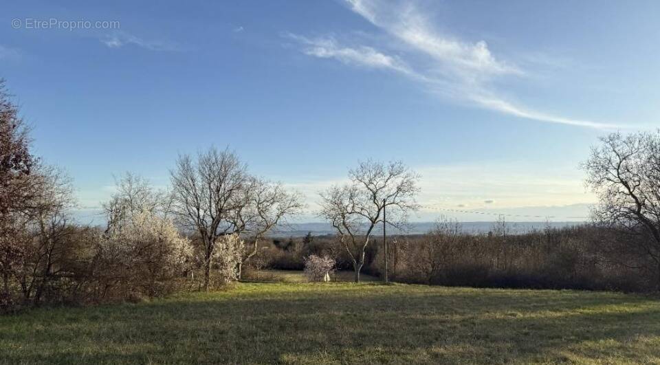 Terrain à LABECEDE-LAURAGAIS