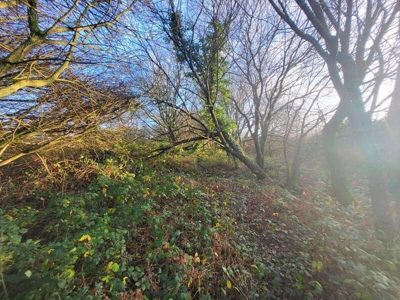 Terrain à TELGRUC-SUR-MER