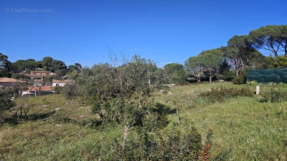 Terrain à ROQUEBRUNE-SUR-ARGENS