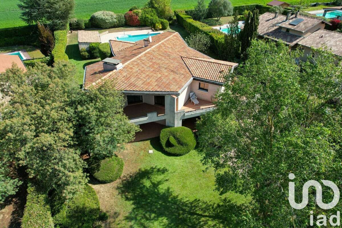 Photo 2 - Maison à MONTRABE