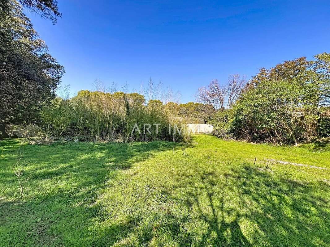 Terrain à CAVAILLON