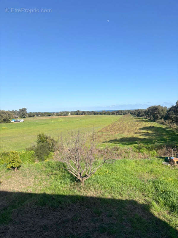 Maison à SAN-GIULIANO