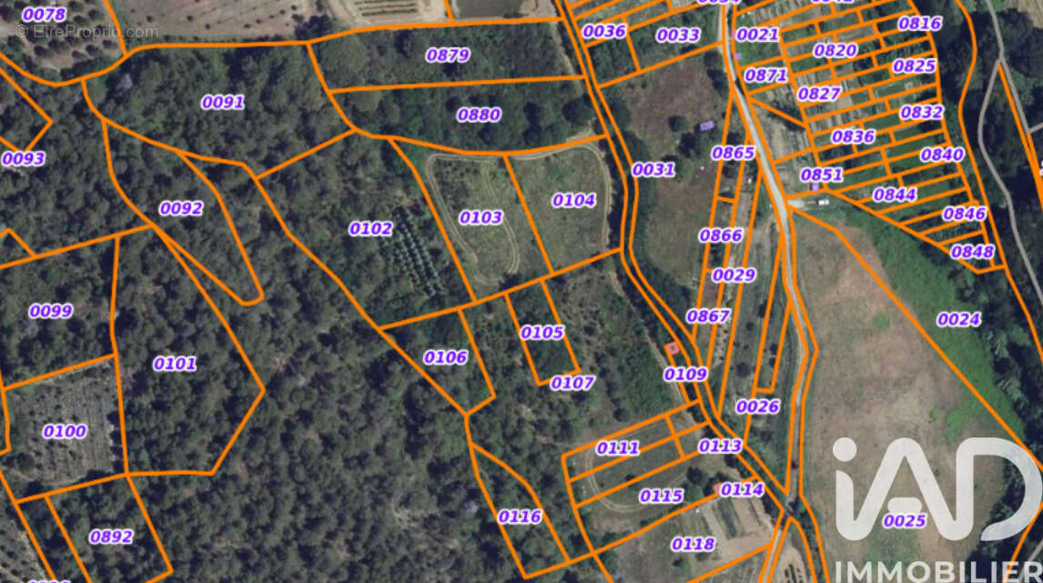 Photo 2 - Terrain à VILLENEUVE-MINERVOIS