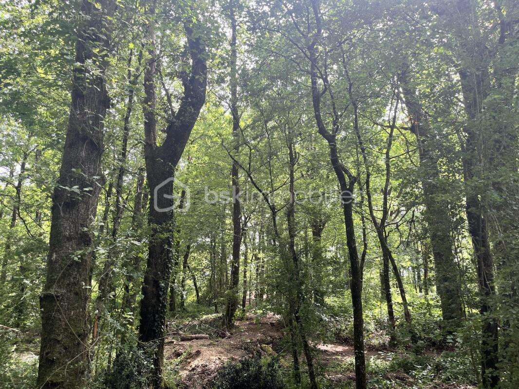 Terrain de loisirs de 5 995 m² - photo 5