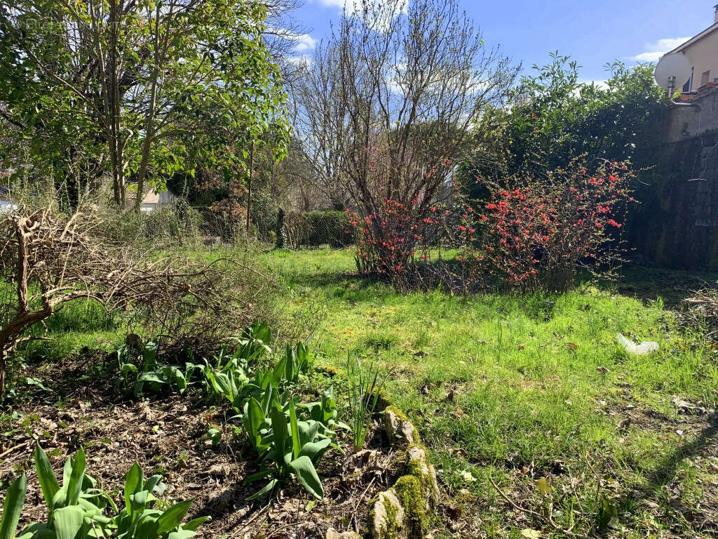 Maison de village 240 m², 6 chambres, avec jardin et local commercial - photo 2