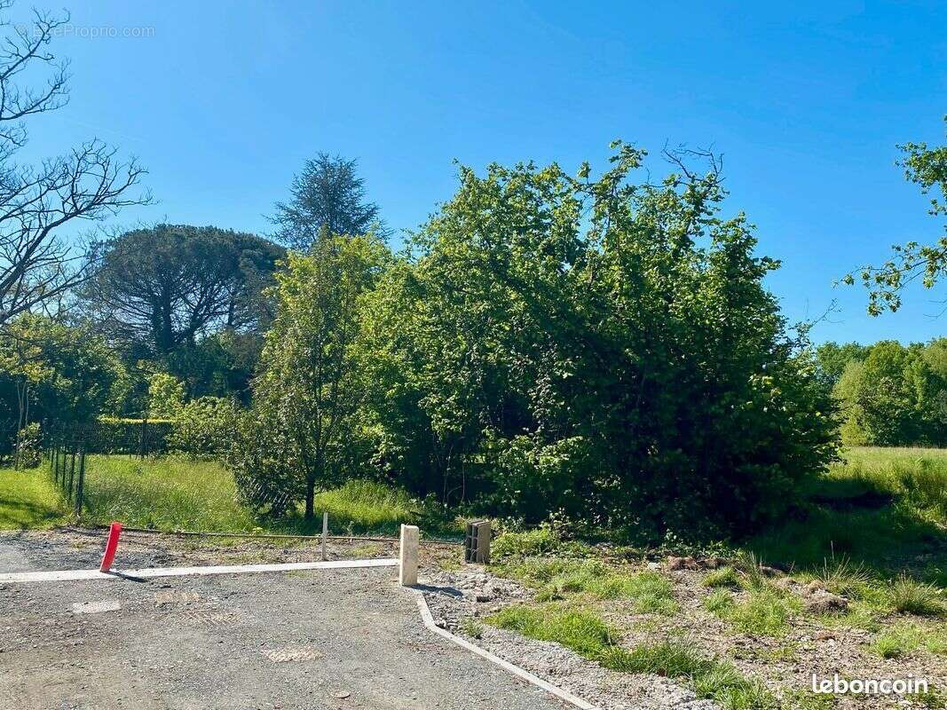 Terrain à LE TAILLAN-MEDOC