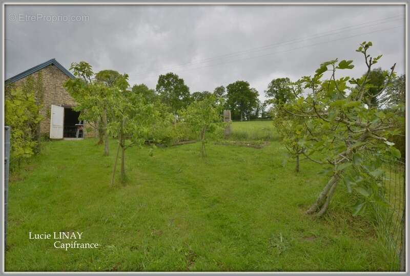 Maison en pierre sur plus de 1500m² de terrain - photo 8