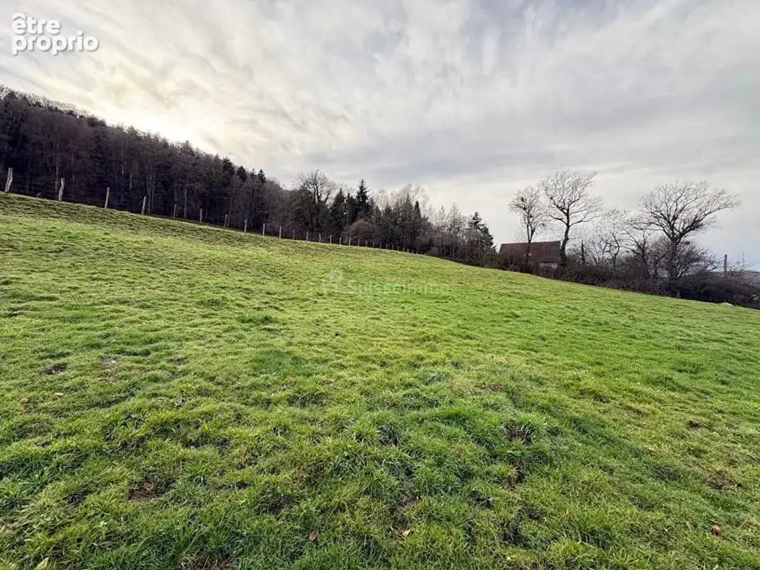 Terrain de 1197 m² viabilisé - photo 2
