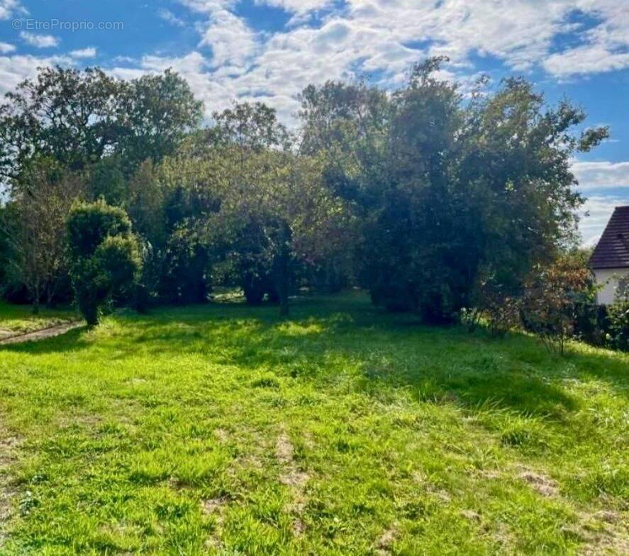 Terrain à DAMPARIS