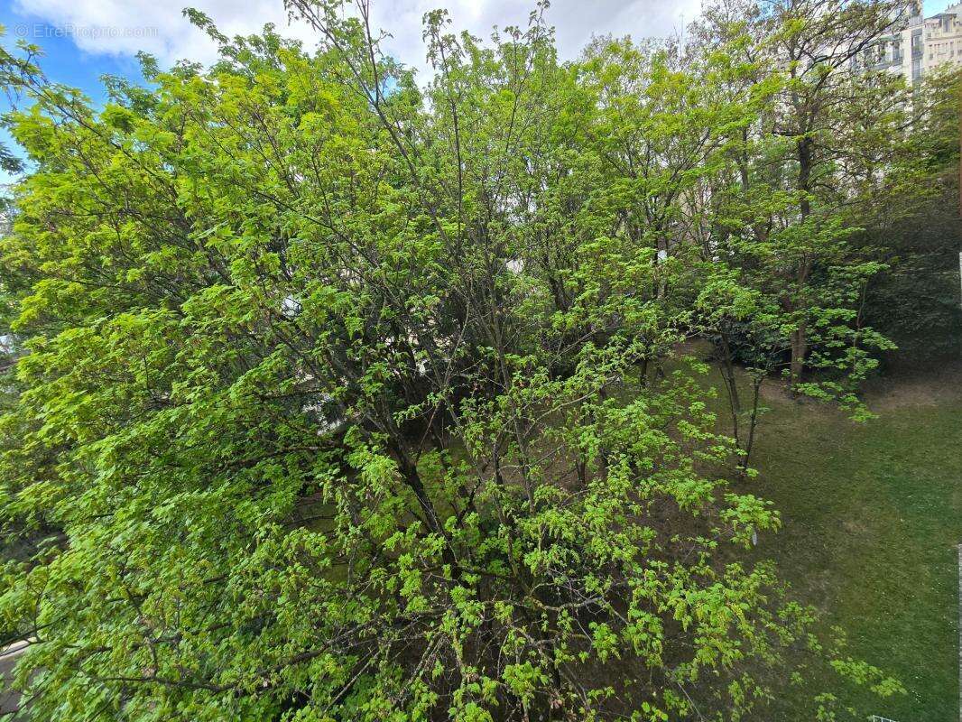 Appartement - photo 13