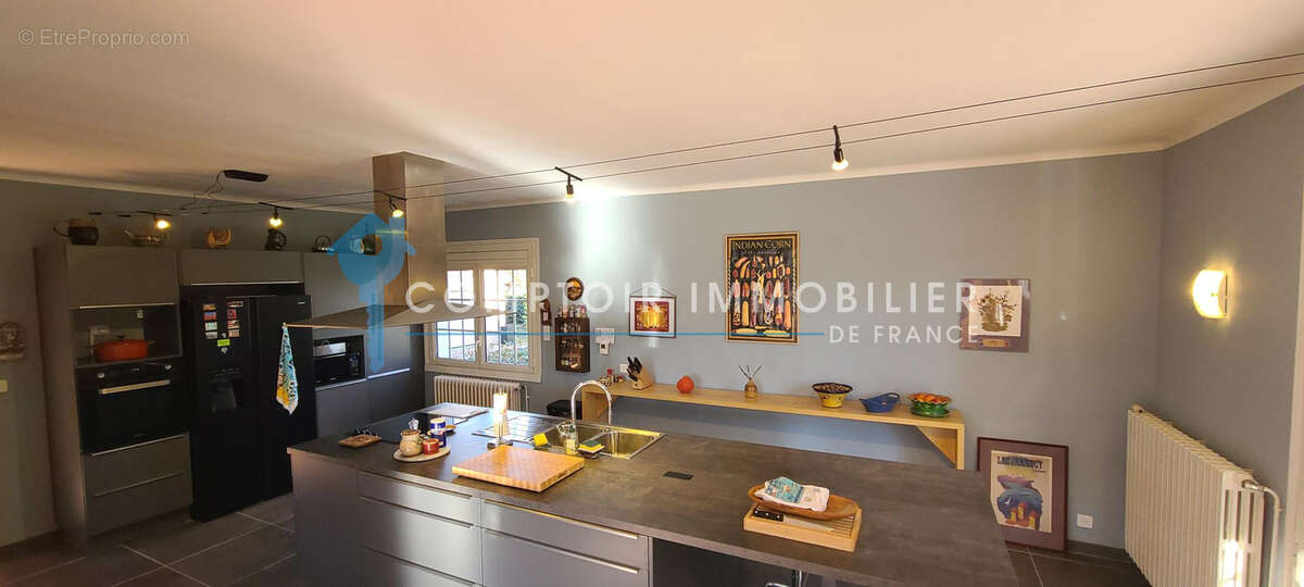 Dpt Haute-Garonne 31 - A vendre Ganties 31- Maison de ville T7 de 368 m2 sur terrain de 4490 m2 avec piscine e - photo 6