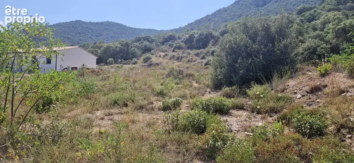 Terrain à MONTALBA-LE-CHATEAU